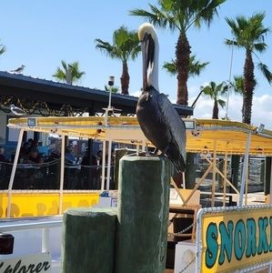 Meet your Posher, Doug